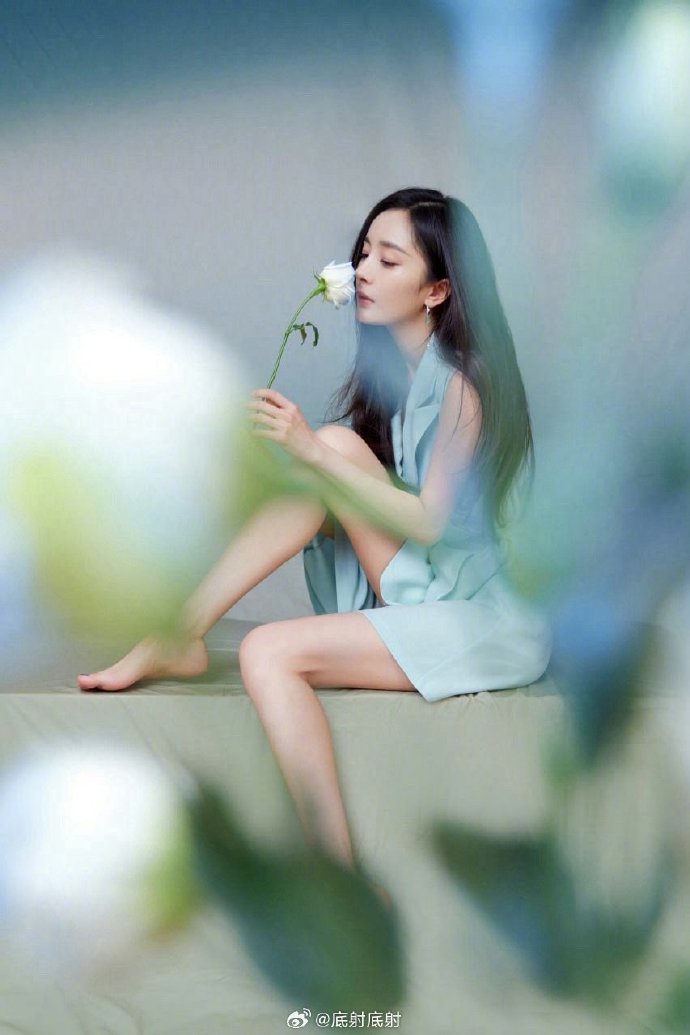 拿破仑 封面