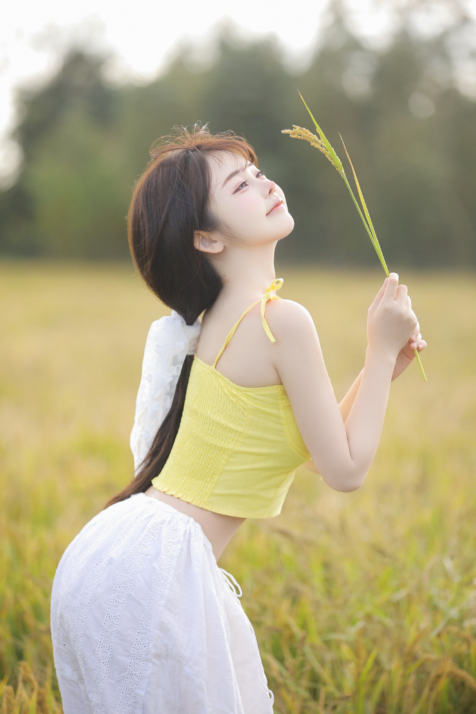 壮志凌云独行侠 封面